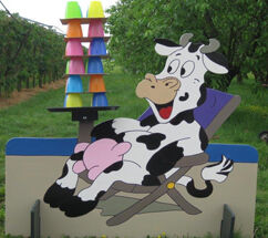 Oudhollands spellenpakket 10 stuks