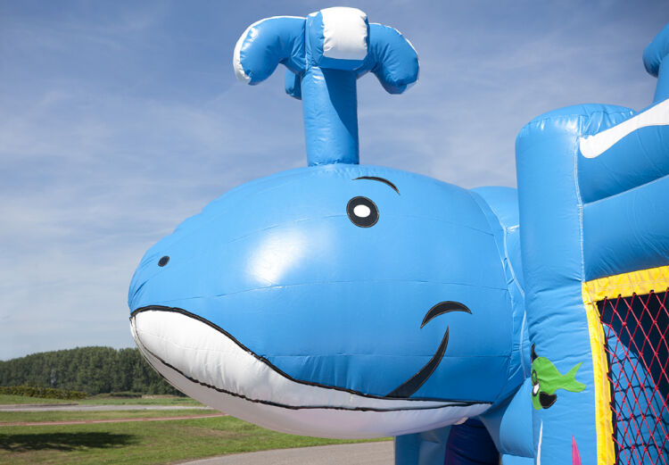 Springkussen multiplay Walvis