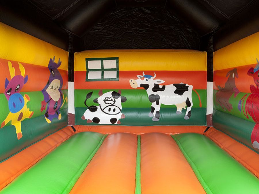 Springkussen Koe (overdekt)