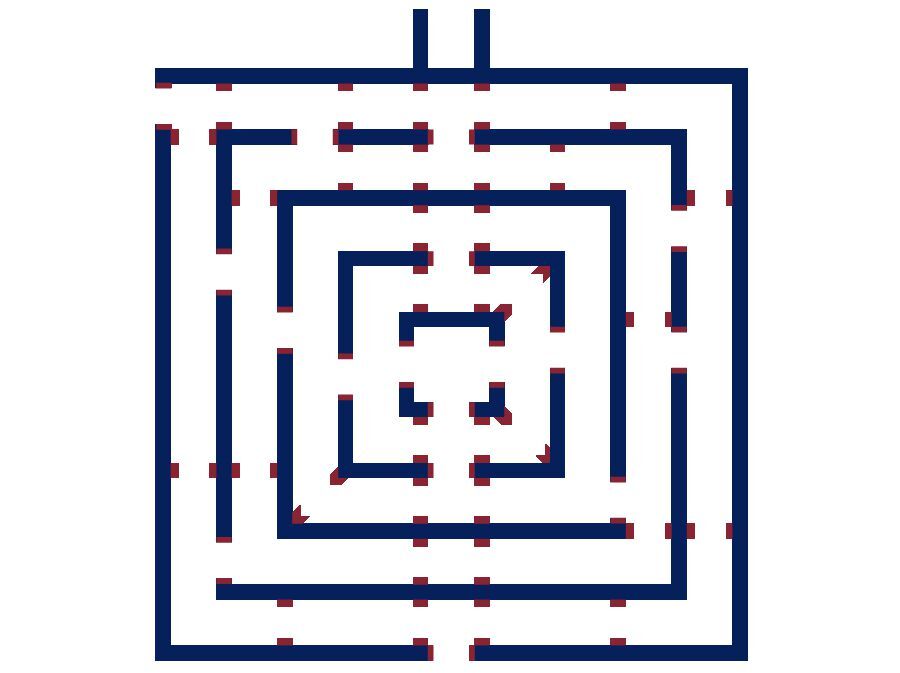 Labyrint XL (opblaasbaar)