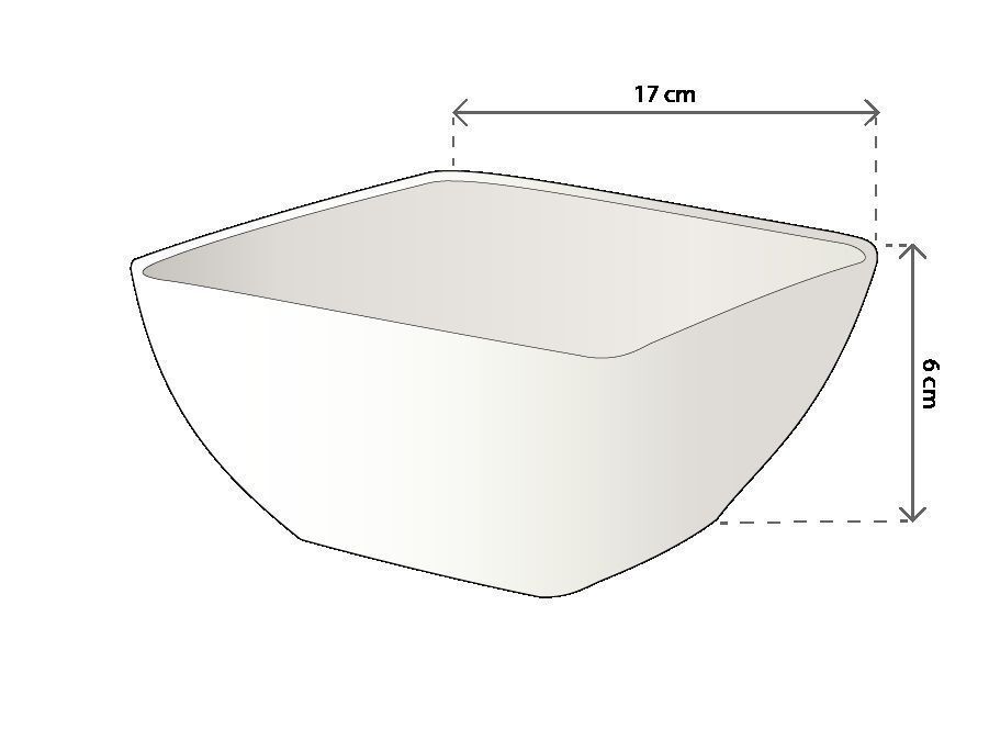 Schaal Trendy vierkant