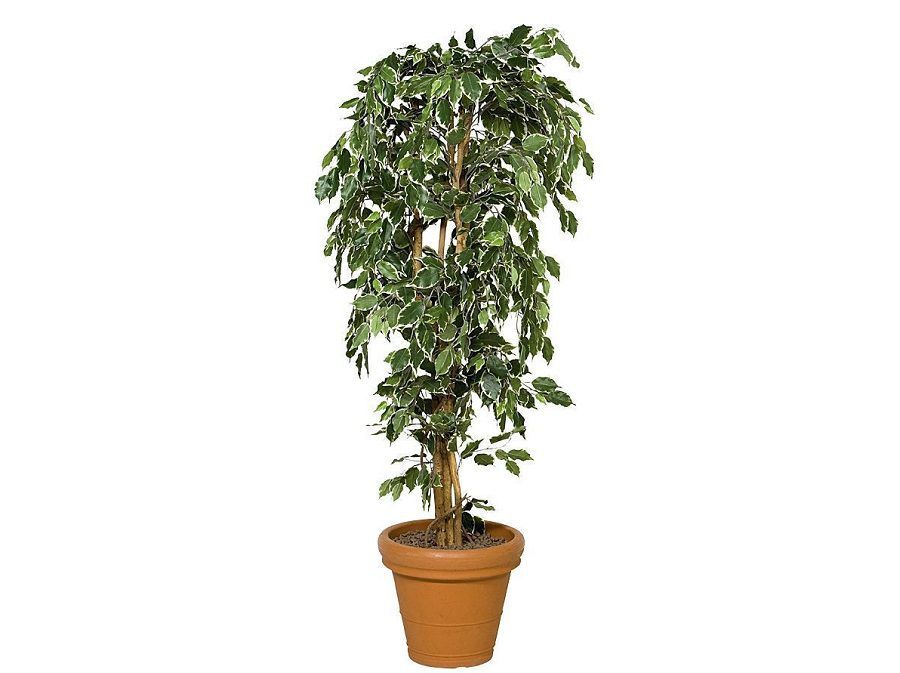 Kunstboom Ficus