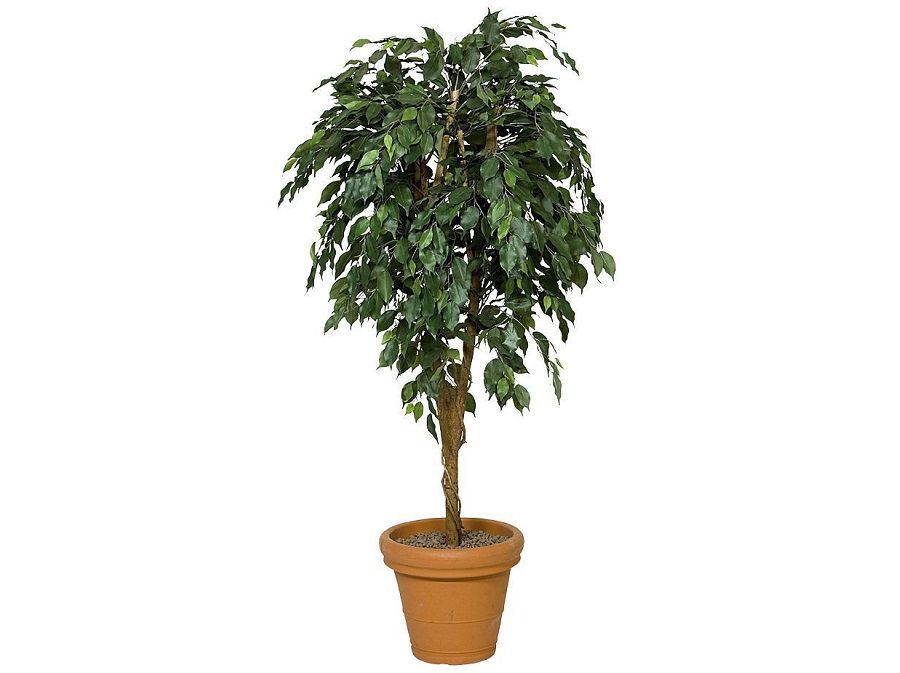 Kunstboom Ficus