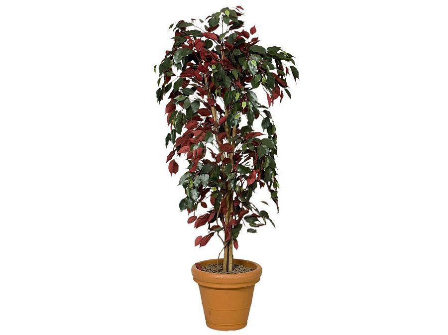 Kunstboom Ficus