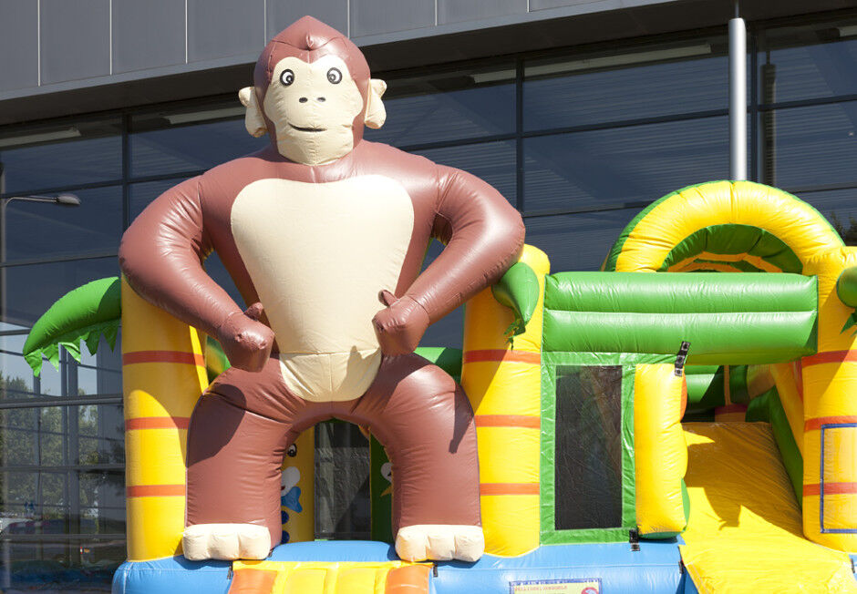 Springkussen multiplay Aap