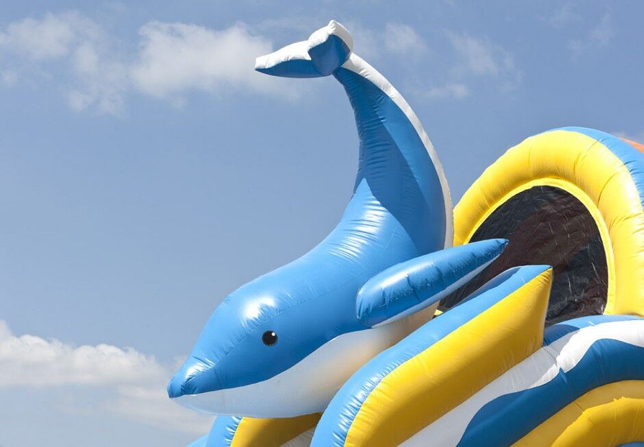 (Water) Gijbaan Dolfijn XL