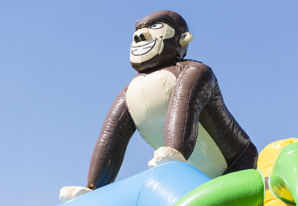 Springkussen Gorilla (overdekt)
